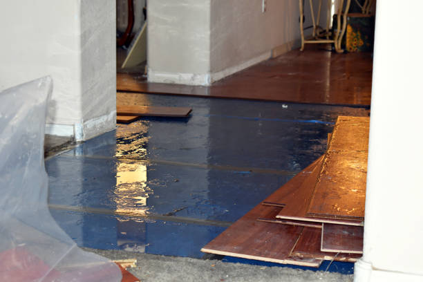 Professional Burst Pipe Cleanup technician working in North Franklin, CT
